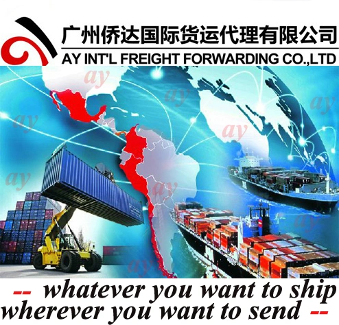 Consolidation/Sea Freight / Ocean Freight to Belawan