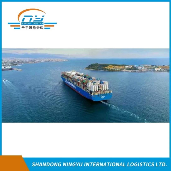 DDU DDP specialist ocean sea freight agent from China to Czech