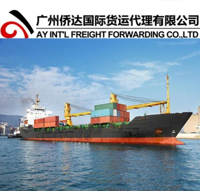 Consolidation/Sea Freight / Ocean Freight to Belawan