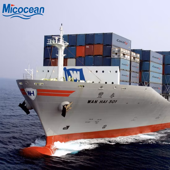 Consolidation/Sea Freight / Ocean Freight to Belawan