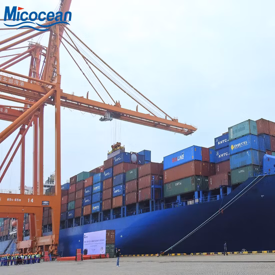 Consolidation/Sea Freight / Ocean Freight to Belawan