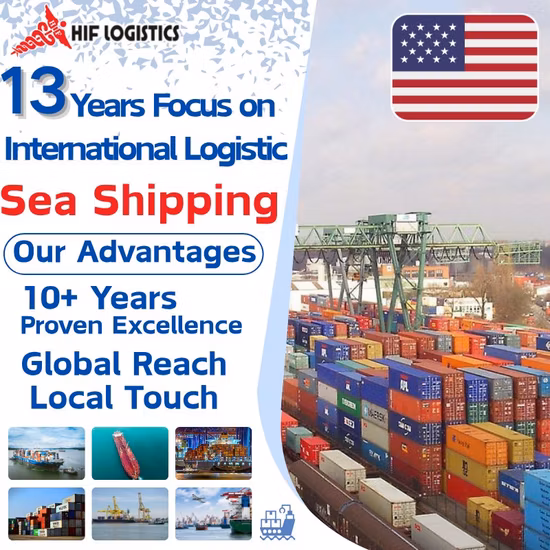 DDU DDP specialist ocean sea freight agent from China to Czech