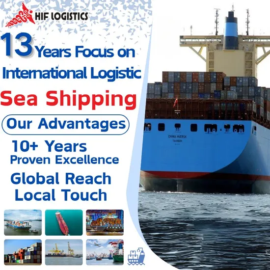 DDU DDP specialist ocean sea freight agent from China to Czech