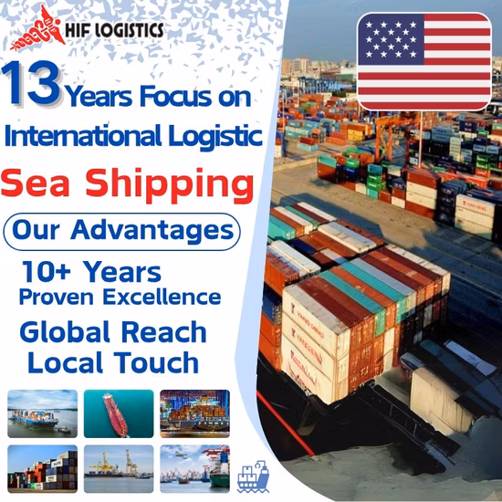 DDU DDP specialist ocean sea freight agent from China to Czech