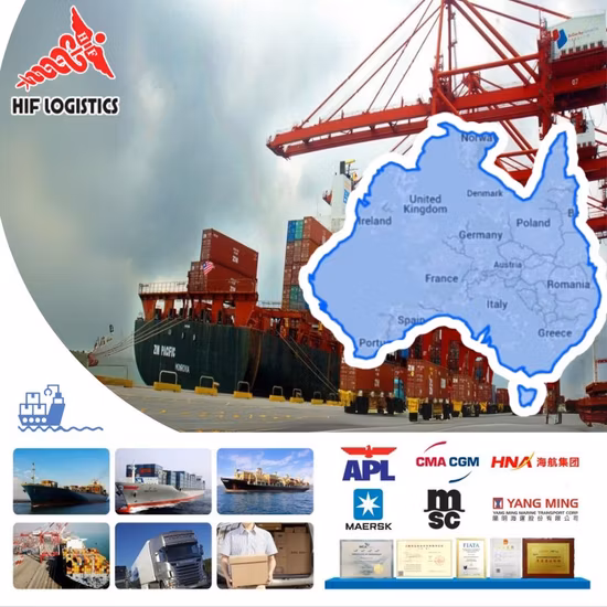 DDU DDP specialist ocean sea freight agent from China to Czech