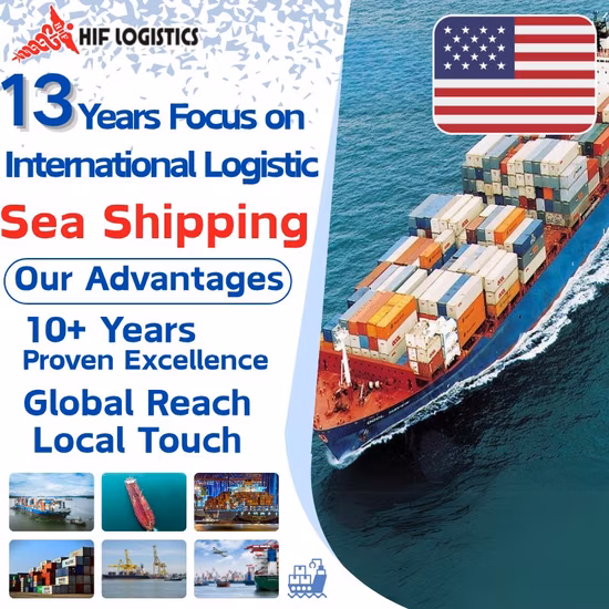 DDU DDP specialist ocean sea freight agent from China to Czech
