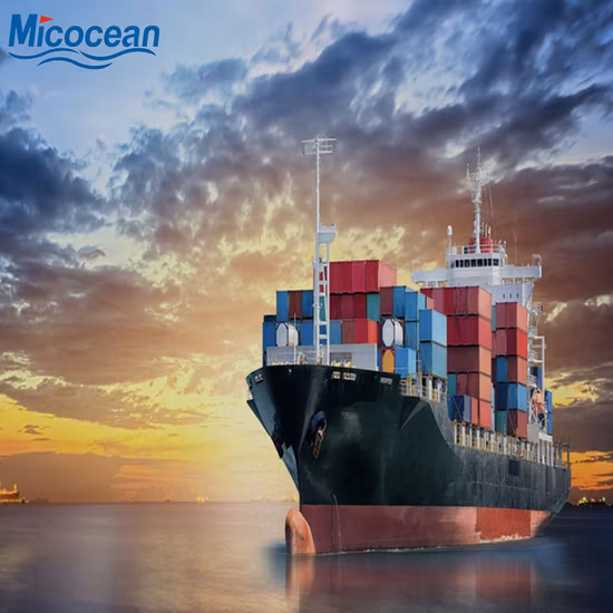 Consolidation/Sea Freight / Ocean Freight to Belawan