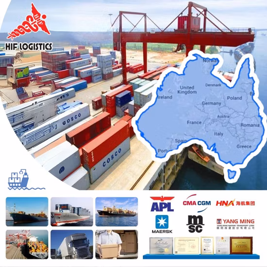 DDU DDP specialist ocean sea freight agent from China to Czech