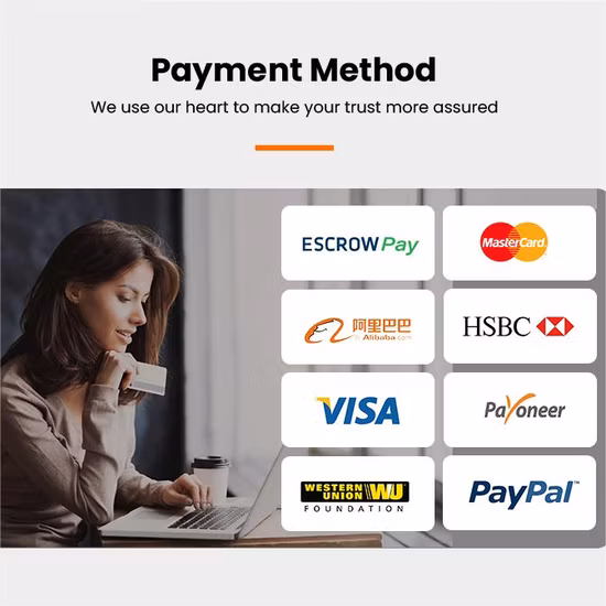 Air Cargo Cargo Export Bets Price Shipping Agnet Air Cargo Air Freight Cargo to Houston Europe