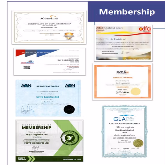 Best LCL FCL Sea Freight China Ocean Freight Companies to Spain