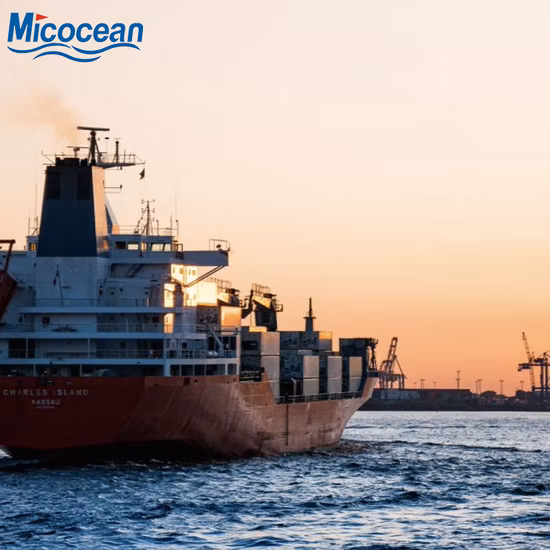 Consolidation/Sea Freight / Ocean Freight to Belawan