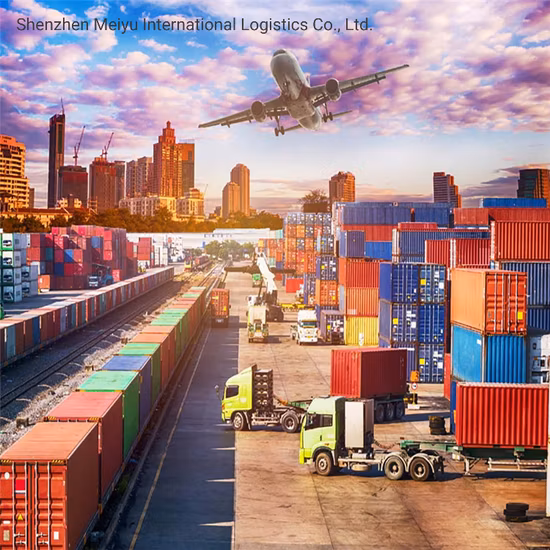 China Cheapest Ocean Freight Agent